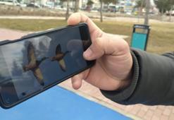 Askerlikten sonra yeni mesleğini buldu: Konya'da doğayı elinde tutuyor