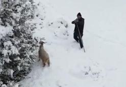 Ankara Nallıhan’da çoban, gördüğü drona tüfek doğrulttu; o anlar kamerada