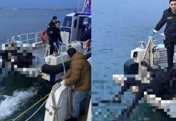 Kocaeli’de balıkçılar, denizde dalgıç kıyafetli erkek cesedi buldu