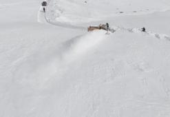 Bitlis'te valilik ile belediye anlaştı: Destek başladı