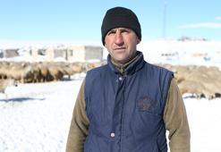 Karslı vatandaş 'başaramayacaksınız' diyenlere aldırış etmedi! Devlet desteğiyle sürü sahibi oldu kısa sürede 6 kat büyüttü