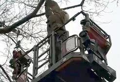 Avcılar’da güvercin seferberliği: İtfaiye zamanla yarıştı