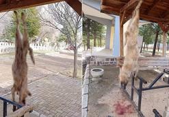 Afyon'da korkunç olay! İşkence düzeneği kurulup acımasızca katledildi