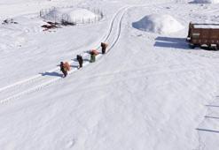 Mardin'de görüldü: Önlerinde kar, sırtlarında yük!