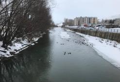 Bayburt'u mesken tuttular: 10 yıldır aralıksız geliyorlar