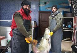 Denizi olmayan kentte yakalandı! Tam 78 kilo, iki kişi zor taşıdı