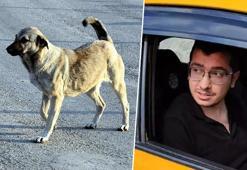 Doktora 'Köpekleri öldürmek'ten verilen hüküm kaldırıldı! 9 yıl hapis cezasına çarptırıldı