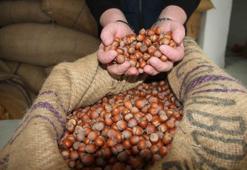 Yeni yılda fiyatlar 350 liradan 275 liraya düştü