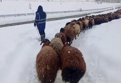 Besicilerin dondurucu soğukta zorlu kış mesaisi