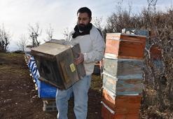Eşinin tayiniyle geldi, Şırnak balını marka yaptı: Lezzeti ile Paris'i fethetti şimdi sıra Londra’da!