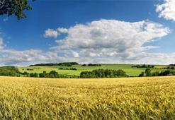 Yazı ne demek, anlamı nedir ve hangi yöreye ait? Adana ve çevresinde kullanılan bu kelimenin kökeni ve günlük konuşmadaki kullanımı