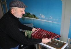 Kayserili arıcının evine kurduğu sistem herkesi şaşırtıyor! Dünya çapında bir numara oldu