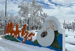 Ocak ayında beyaza bürünmüş bir şehir: Kışın Malatya’da gezi keyfi