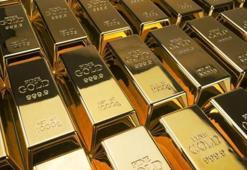 Altın Fiyatları Yükselişini Sürdürüyor: 24 Ocak 2026