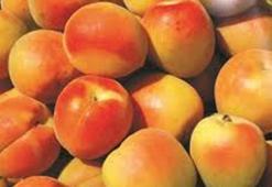 Malatya kayısısıyla hazırlanan tatlı: Sofraların vazgeçilmezi