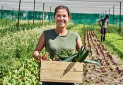Genç girişimcilere tarımda büyük fırsat: Devlet destekleriyle iş kurun