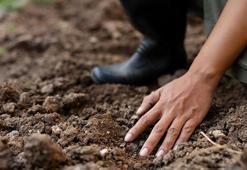Küçük bir bahçesi olan herkes yapabiliyor! Kolay yetiştirilen ürünlerle kazanç sağlayın