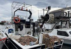 Tekirdağ'da ağlar karides için atılıyor! 1 Şubat'ta büyük mesai başlıyor