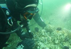 Kocaeli Büyükşehir Belediye Başkanı Tahir Büyükakın dalış yaptı, su altından müjdeyle çıktı