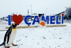 Denizli'de sürüden ayrılan nihilist penguen Çameli'ye uğradı