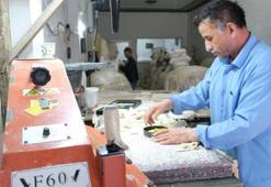 Norveç’ten geliyor, Erzincan’da üretiliyor! Türkiye’de sadece 2 ilde var: Talep yağıyor