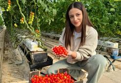 Ağrı'da jeotermal kaynaklar üretimin bereketini artırdı! Yıllık bin 200 tonla ihracata dev katkı