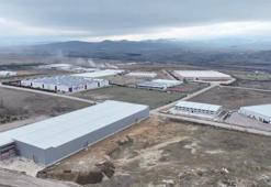 Çankırı'da dev yatırım için imzalar atıldı: Binlerce kişiye istihdam sağlayacak: Avrupa ve Amerika'ya ihracat başlıyor