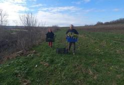 Çocuklarının geleceği için her şeyi denediler! Toprağı altına dönüştürdüler!