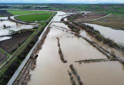 Edirne'de aşırı yağışlar Tunca Nehri'ni taşırdı! Tarlaları su bastı, köprülerin gözleri kapandı