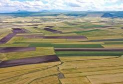 Türkiye birincisi Konya oldu! Yüzde 50 artış var