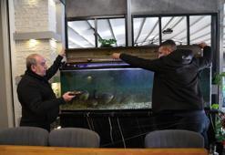 Amazon’dan gelip Diyarbakırlı oldular: Dükkanında beslediği piranaları kelle paça ile besliyor!