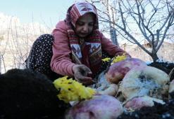 Konya’da asırlık gelenek! Sebzeler toprak altında saklanıyor