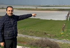 İzmir'de yağmur çiftçinin yüzünü güldürdü: ‘Yağışlar yer altı sularına da yaradı’