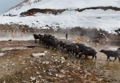 Bitlis'te eksi 25 derecede kaplıca keyfi!
