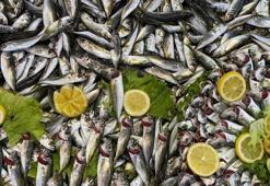 Vatandaşlar balık tezgahlarına akın etti! Hamsi yokluğu talebi durduramadı