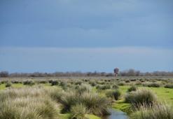 Samsun ev sahipliği yapıyor! 27'si bu bölgede