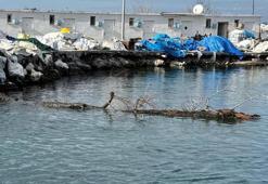 Yalova açıklarında tehlikeli engel! Ekipler harekete geçti