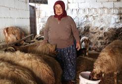 Depremde her şeyini kaybetmişti, devlet desteğiyle küllerinden doğdu