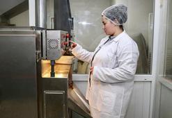 Giresun'da genç kadın işi öğrendi devlete başvurdu! Aldığı destekle kendi tesisini kurdu