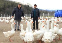Ordu'da alım garantisi verildi! Üretici yetiştiriyor, kapış kapış satılıyor