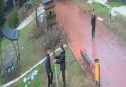 Kuş yuvasını parçalamışlardı! 4 şahsa ev hapsi cezası