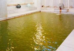 Eskişehir'e yeni termal tesis açılıyor! 40 milyon TL'ye mal olacak