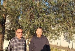 Balıkesir'de su baskınlarına rağmen üreticinin yüzü gülüyor