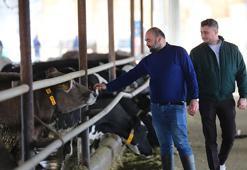 Depremin izleri üretimle siliniyor: Telef olan hayvanların yerine hibeler geldi, süt üretimi başladı