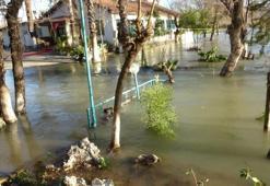 Manavgat'ta seviye en yükseğe çıktı: İşletmeler sular altında kaldı