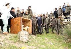 Samsun'da son 10 yılın rekoru: 81 binden fazla halkalandı