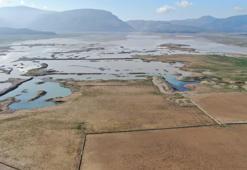 İzmir'de rekor yağışlar! Barajlara can suyu