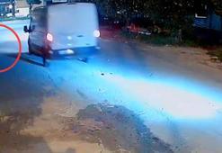 Adana'da kamyonet sürücüsü, araca havlayan köpeği ezdi