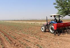 Hasat bitti, budama ve gübreleme başladı: Fiyatlar 700 TL’den başlıyor