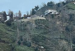 Rize Güneysu'da hafif ticari araç uçuruma yuvarlandı, eski muhtar hayatını kaybetti